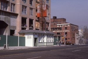 York Ave. looking towards 92nd St., NYC, Feb. 1985              